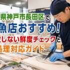 兵庫県神戸市長田区で鮮魚店おすすめ！失敗しない鮮度チェックと下処理対応ガイド